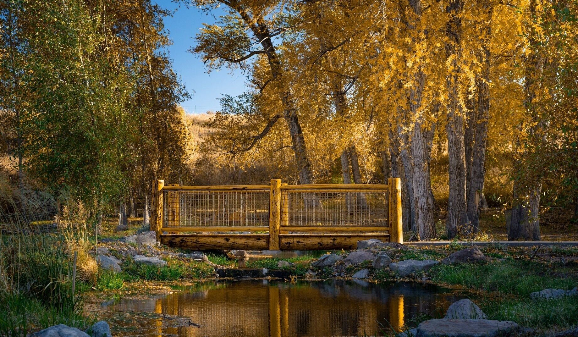 A wooden bridge over a calm river, surrounded by trees with autumn foliage.
