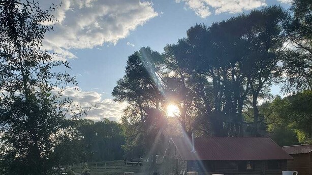 A wooden bridge leading to a building with a red roof, surrounded by trees and a body of water. - Max's Cabin at Tiny Timbers Resort and Spa! (South Fork)