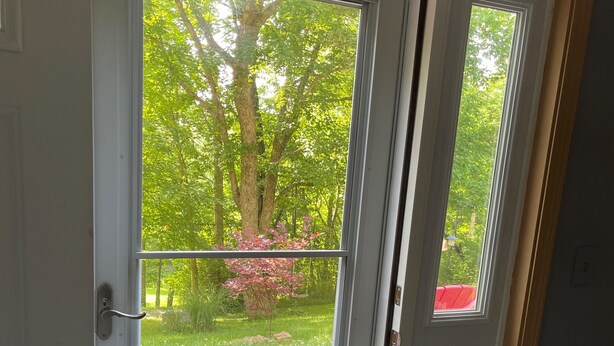 A white door with a glass panel, a red bench outside, and a tree in the background.