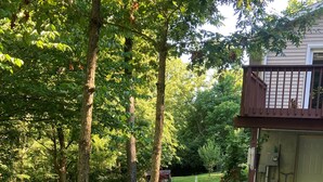 A residential backyard with a pathway leading to a house, surrounded by trees and a well-maintained lawn.
