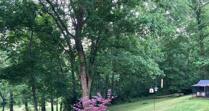 Beautiful lower level of house in nature with wildlife all around.