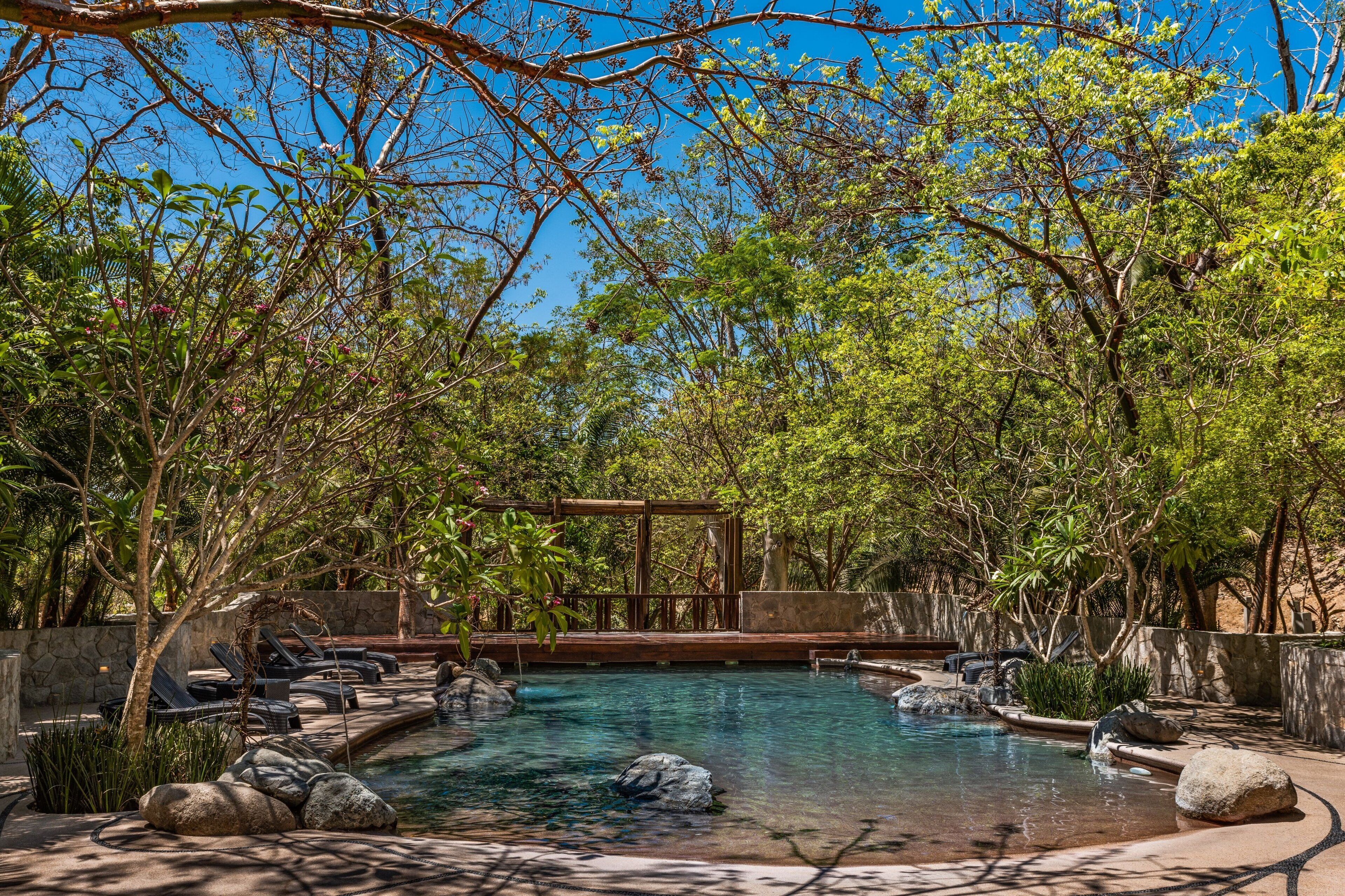 A pool area with lounge chairs and a pergola, surrounded by lush greenery.