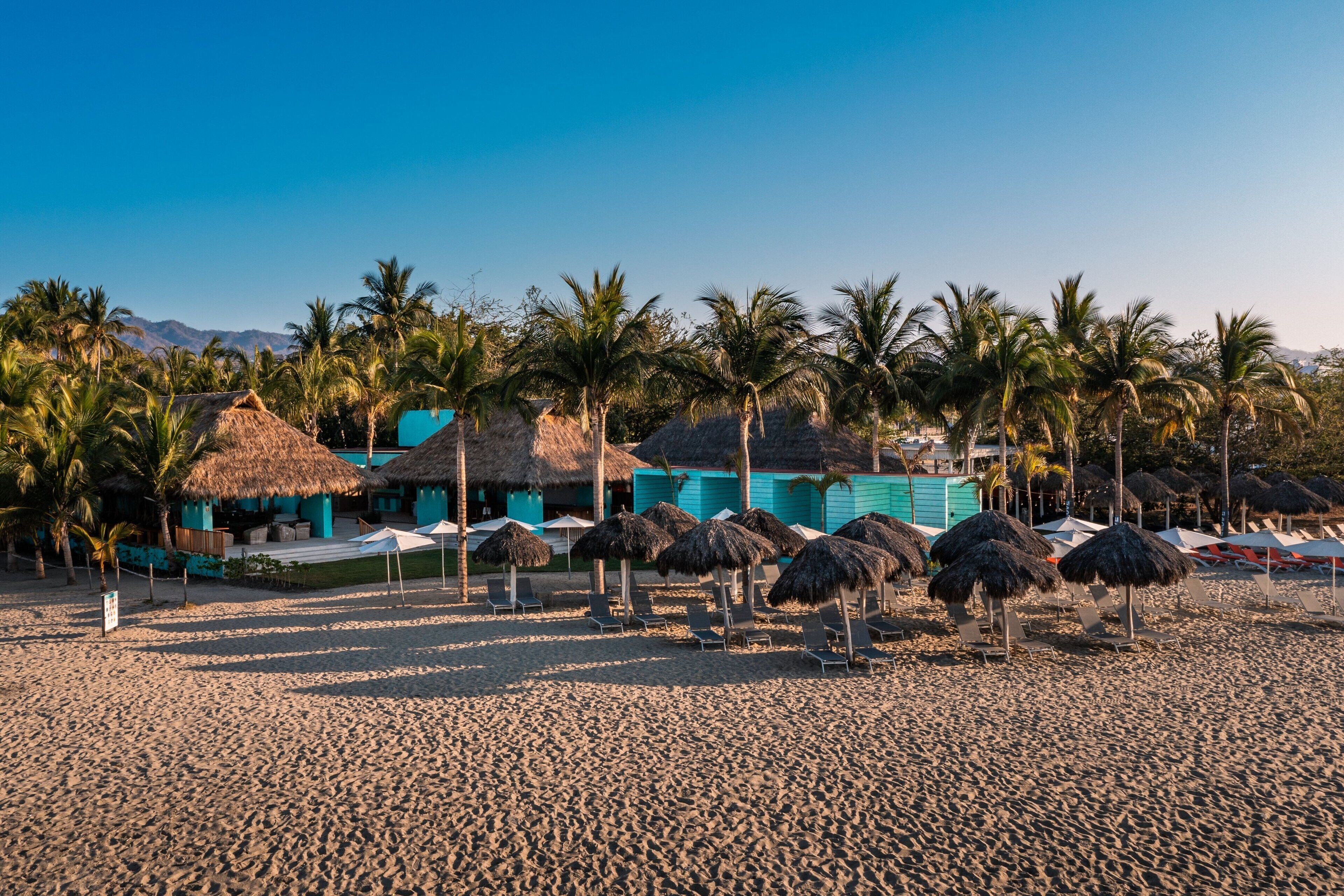 Ein Strand mit strohgedeckten Hütten, Palmen und Liegestühlen.