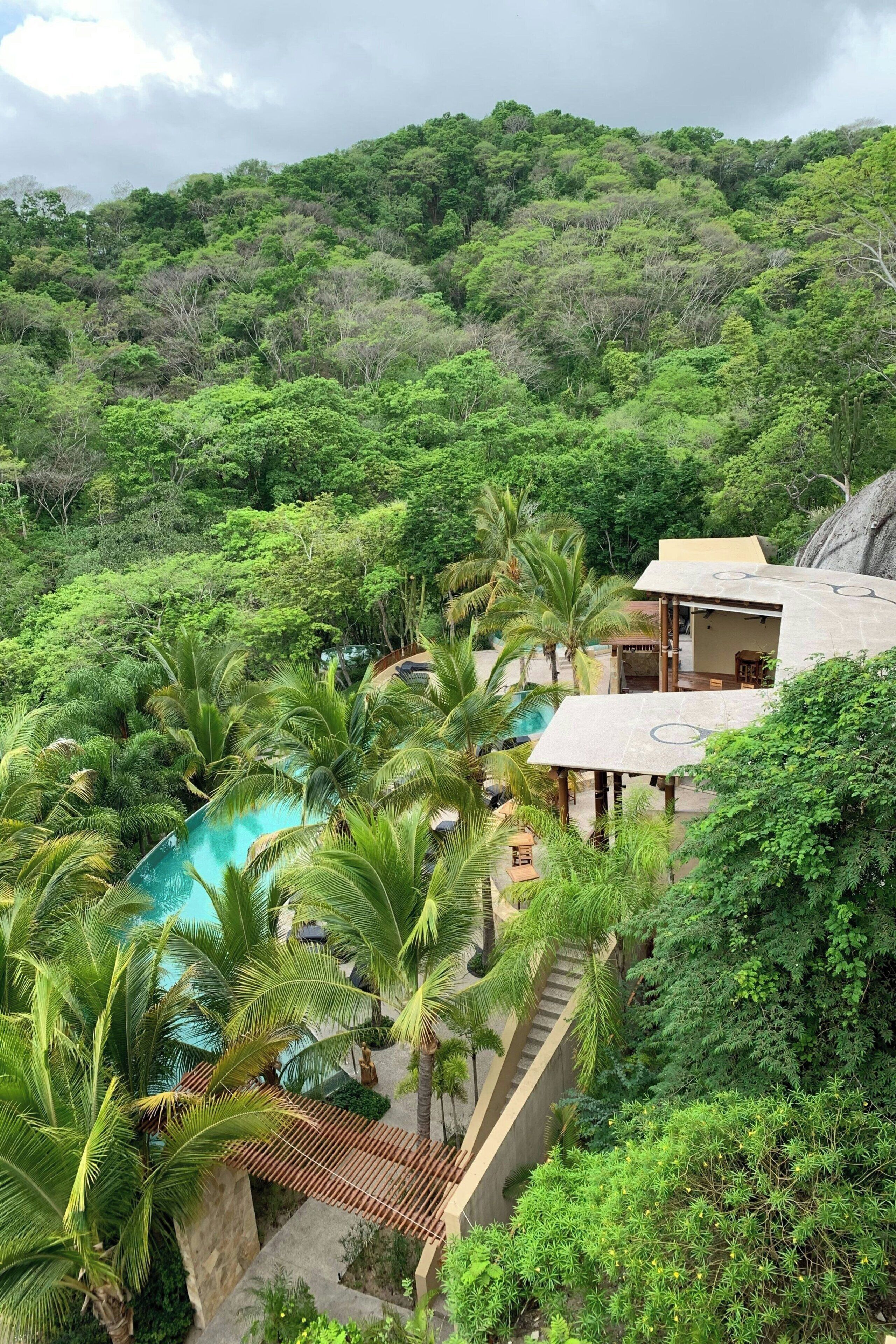 Un resort con piscina rodeada de palmeras, una terraza de madera y vistas a una exuberante ladera verde.