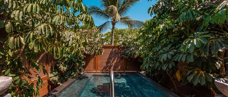 Una piscina con una palmera y abundante follaje al fondo.