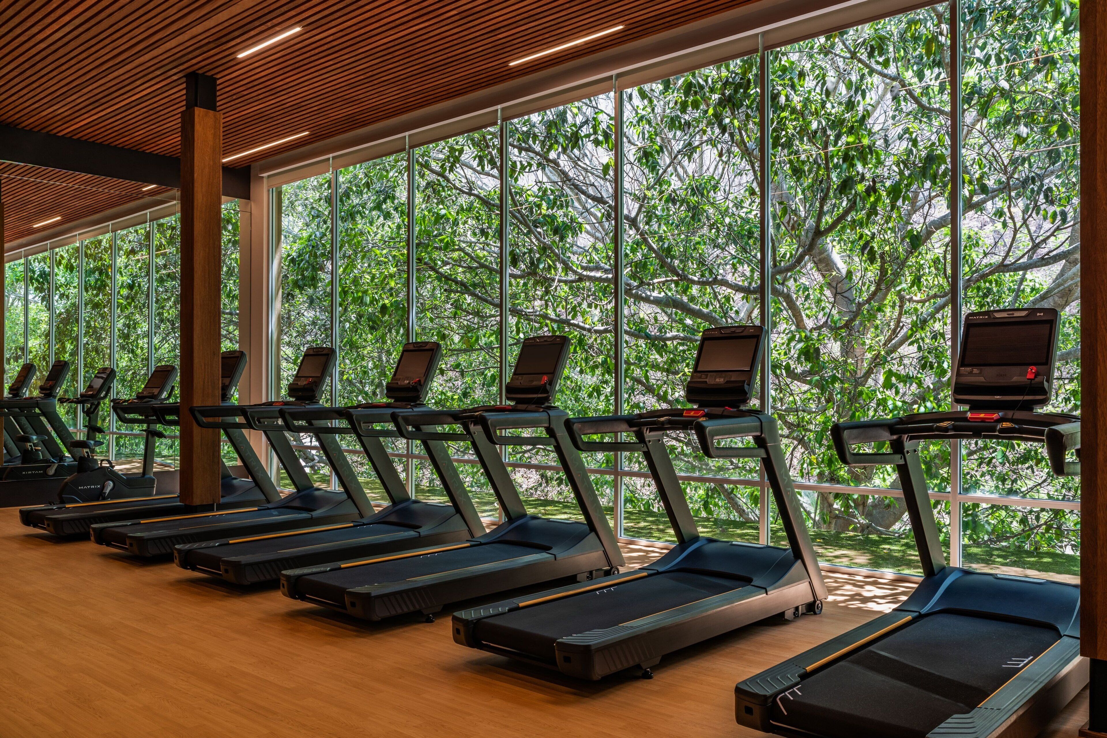 A gym with treadmills aligned in rows, large windows, and a wooden ceiling.