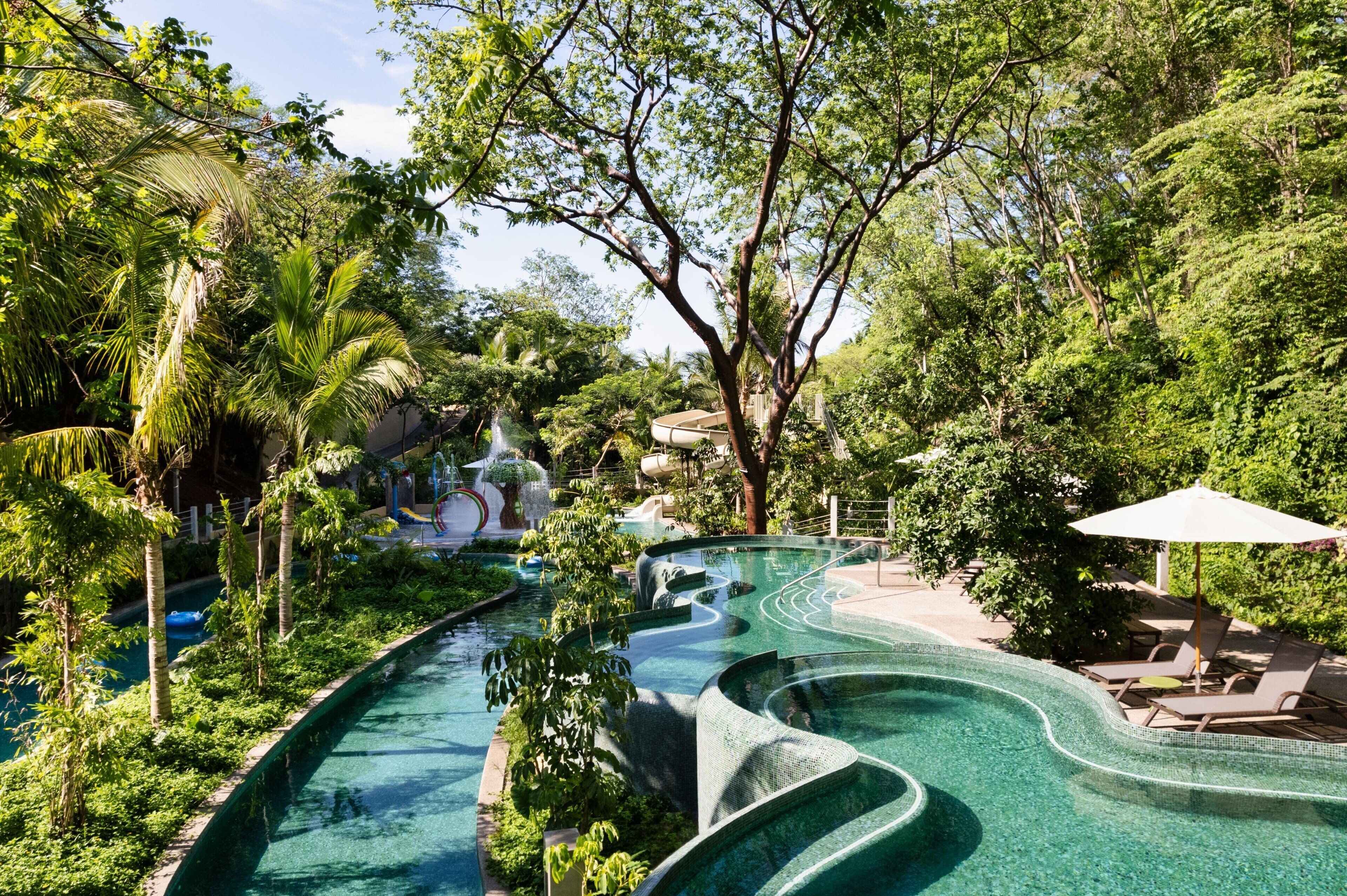 Una piscina de diseño sinuoso rodeada de abundante vegetación y árboles.
