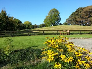 Terrain de l’hébergement 