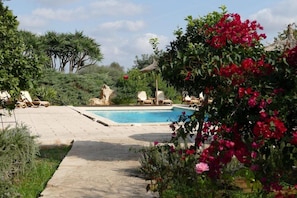 Una piscina al aire libre