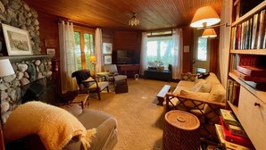 A cozy living room with a stone fireplace, wooden furniture, a television, and a bookshelf. - Historic cottage just minutes from downtown Harbor Springs! (Harbor Springs)