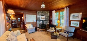 Smart TV, fireplace, books