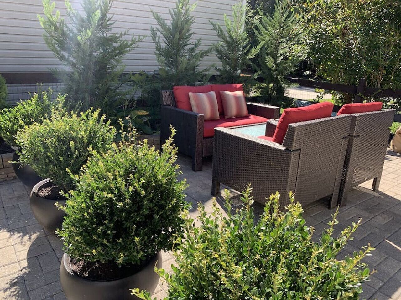 テラス / パティオ