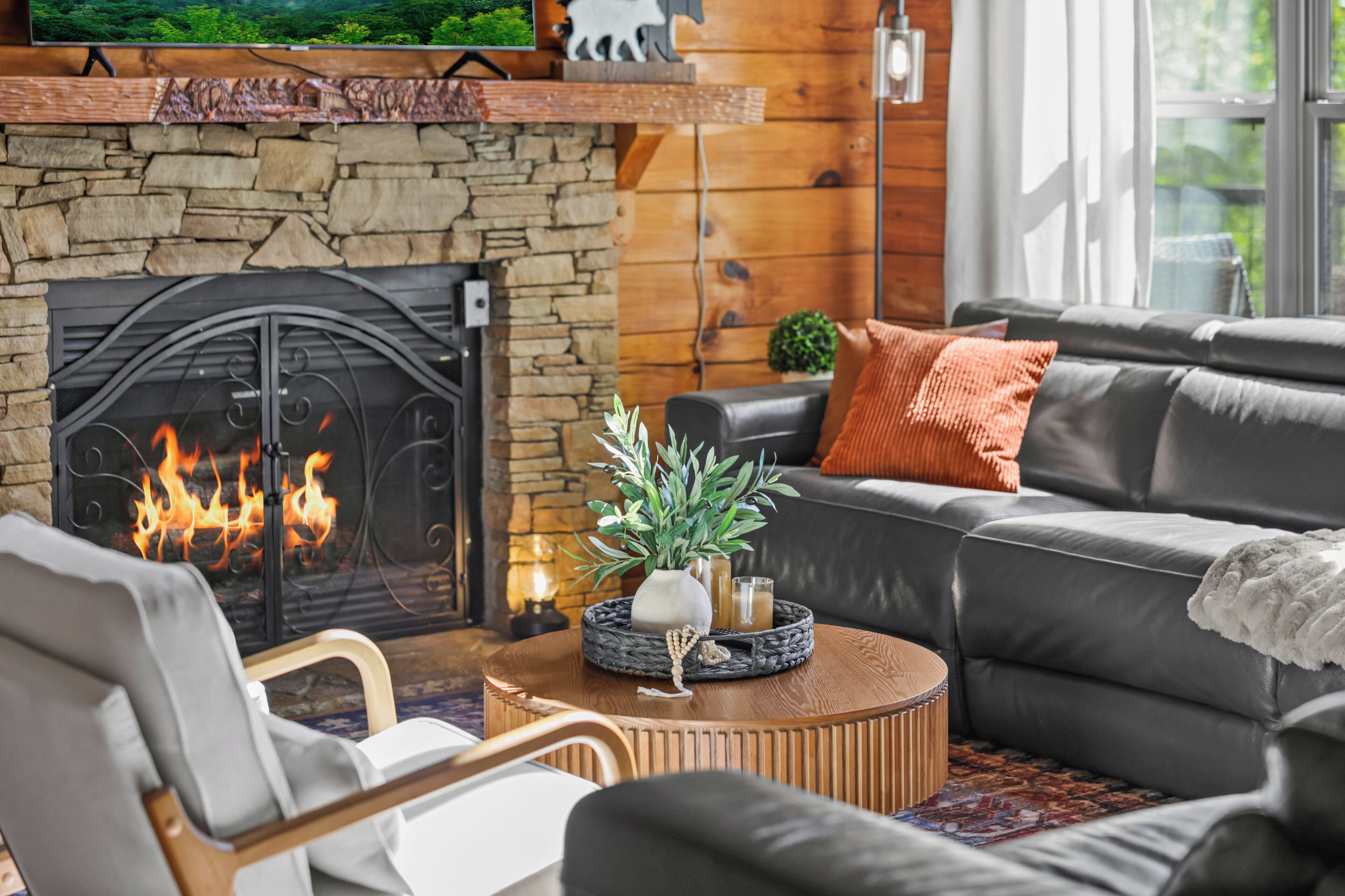 Smart TV, fireplace, video games, books