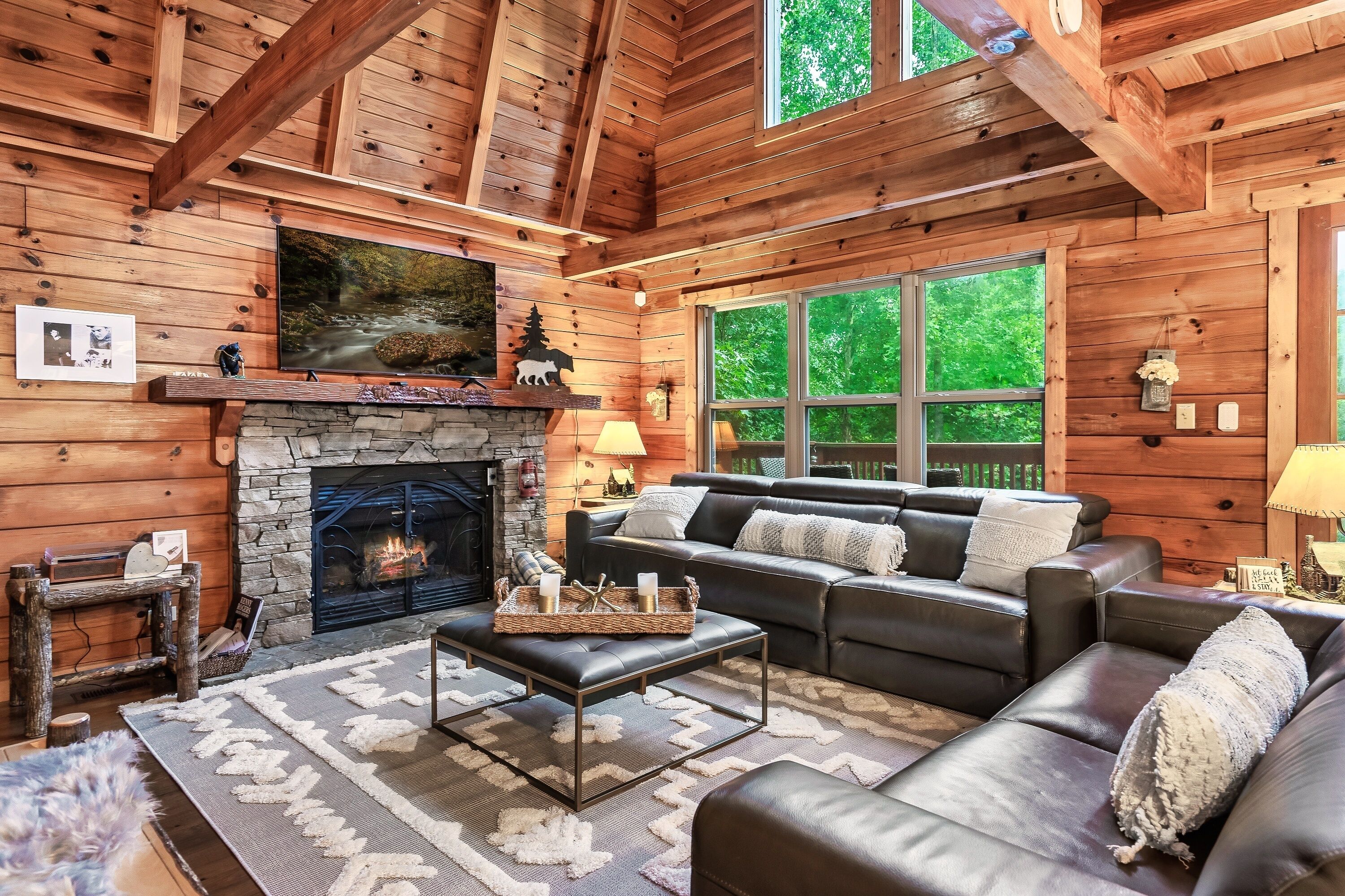 Smart TV, fireplace, video games, books