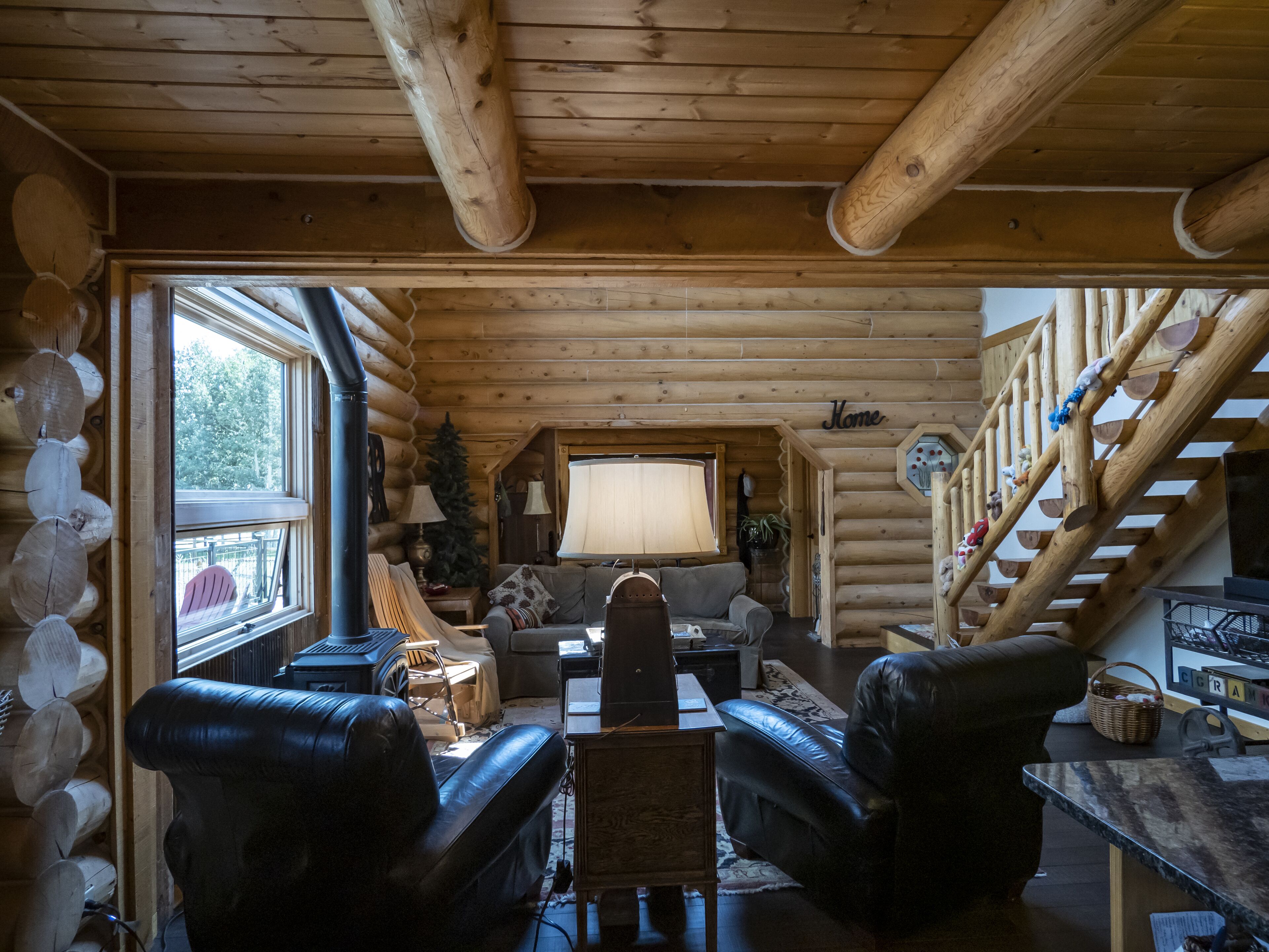 TV connectée, cheminée, lecteur de DVD, livres