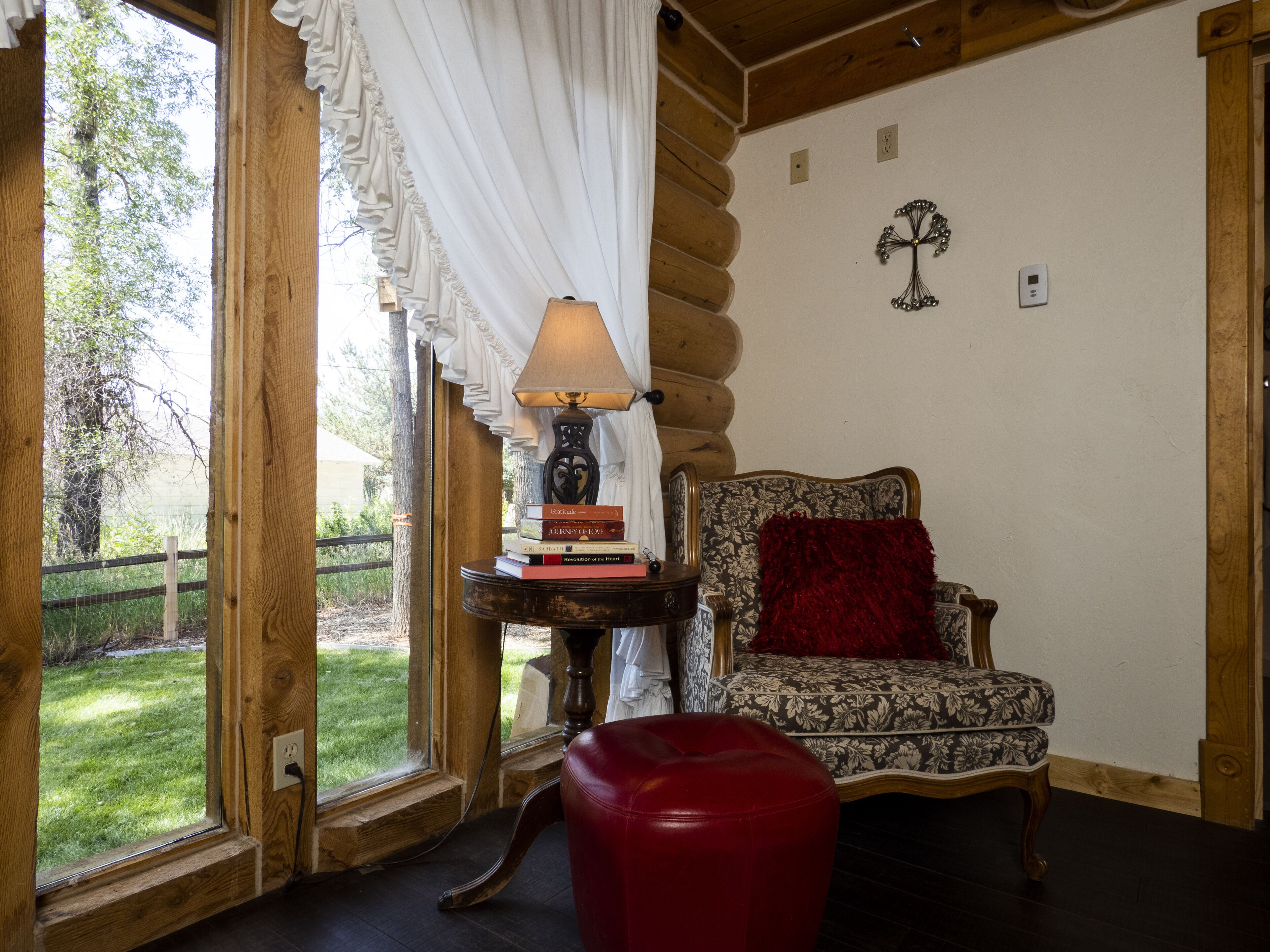 TV connectée, cheminée, lecteur de DVD, livres