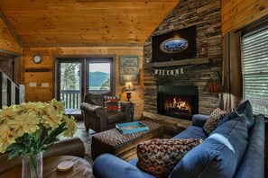 TV, fireplace, books