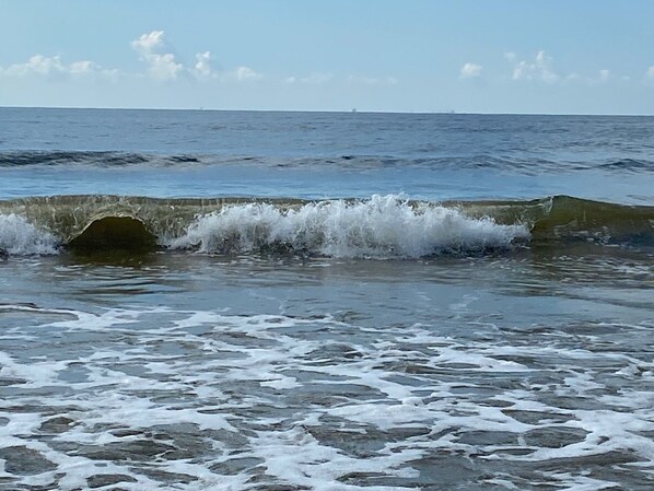 Playa en los alrededores 