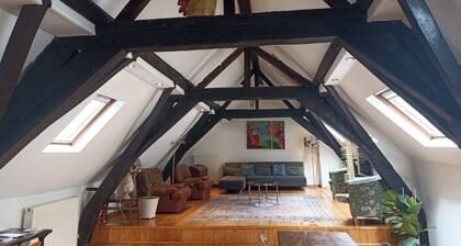 Large charming duplex Brussels Historical Center