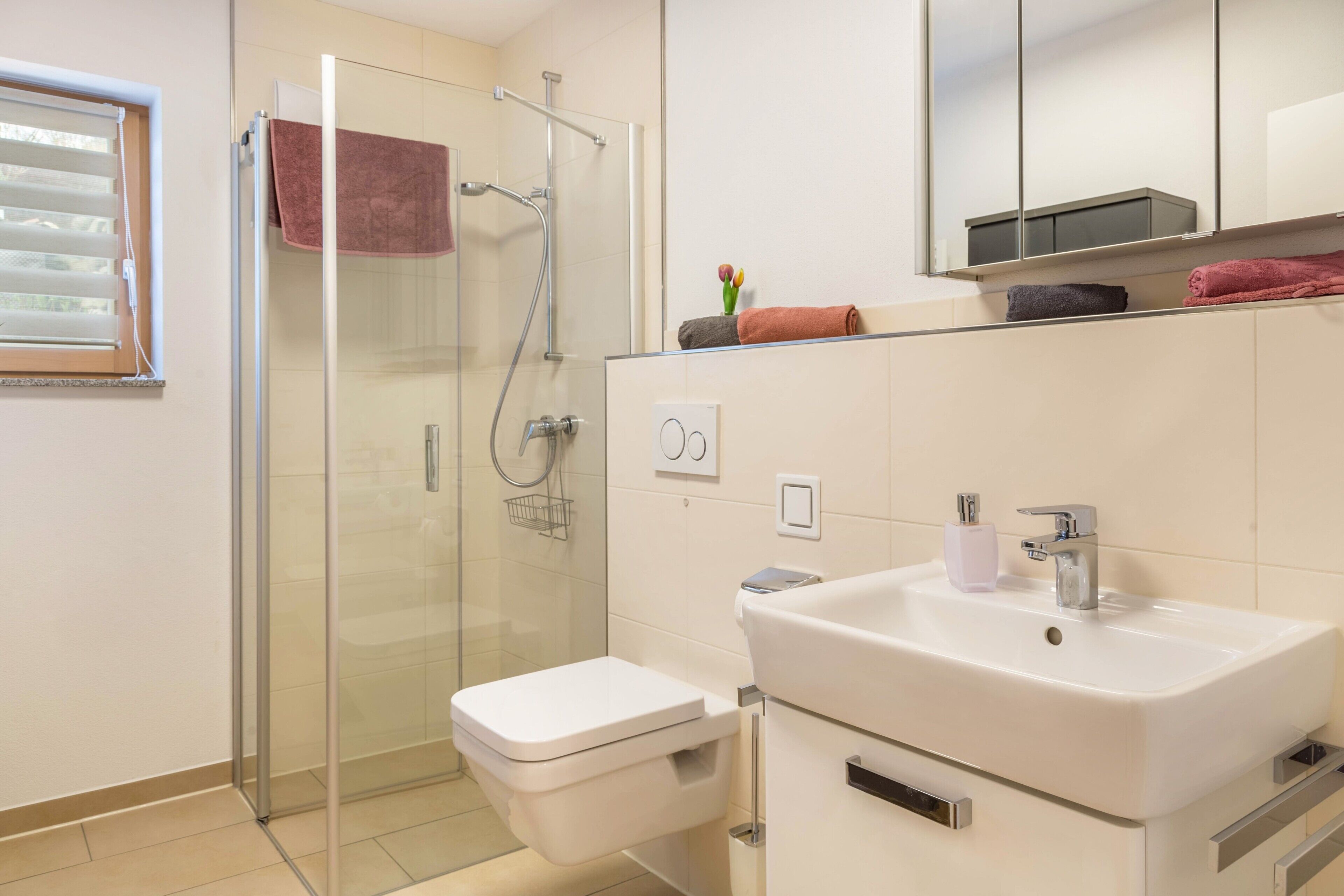 A modern bathroom with a glass shower enclosure, a white sink, and a toilet.