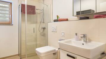 A modern bathroom with a glass shower enclosure, a white sink, and a toilet.