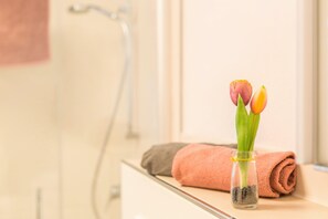 Dusche, Haartrockner, Handtücher