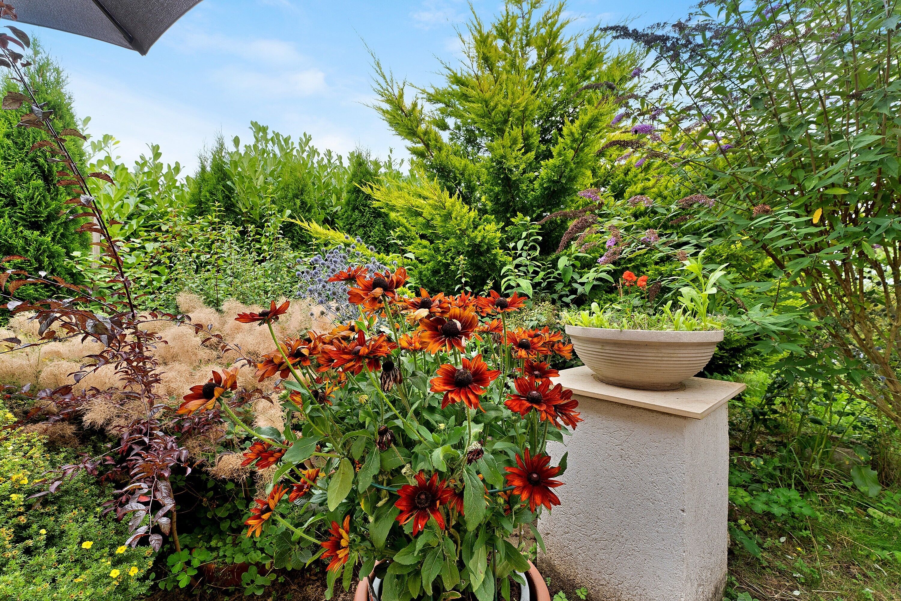 Ein Garten mit verschiedenen Pflanzen und Blumen, ein Betonpflanzgefäß mit einer Topfpflanze und eine Steinmauer.