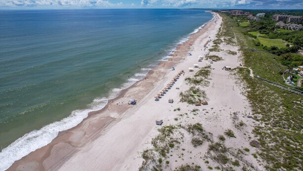 Une plage bordée d’une rangée de parasols et de chaises longues, avec une clôture et des bâtiments en arrière-plan.
