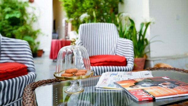 Uma sala de estar acolhedora com sofás listrados, uma mesa de centro de vidro com um livro e um objeto decorativo, e plantas verdes exuberantes.