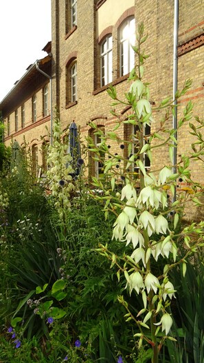 تفاصيل الفندق من الخارج