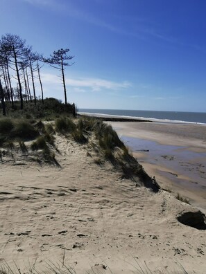 Een strand met duinen, weinig begroeiing en een heldere lucht.
