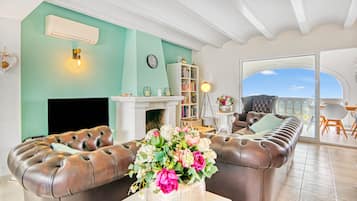 Télévision, cheminée, lecteur de DVD, table de tennis de table