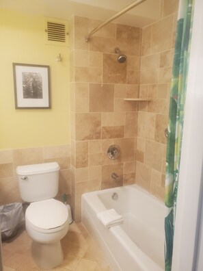 Combined shower/bathtub, hair dryer, towels, soap