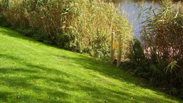 Eine grasbewachsene Fläche neben einem Gewässer mit dichter Vegetation und einem Schild im Vordergrund.