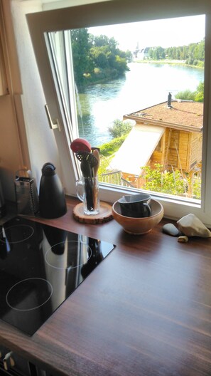 Fridge, microwave, oven, stovetop - Vacation apartment on the Danube - NaturPur - with PanoramaSauna Donaugarten (optional) (Donauwörth)