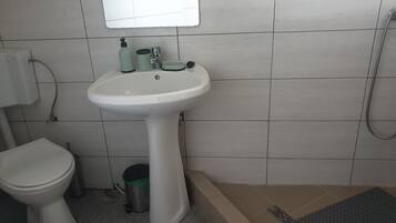 Shower, towels, soap, toilet paper