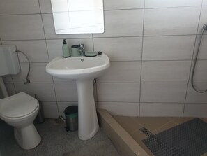 Shower, towels, soap, toilet paper