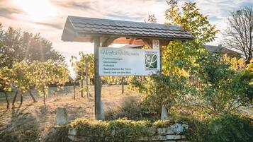 Un panneau avec du texte en allemand, une pergola et, au fond, un vignoble.
