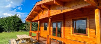 Modern 3-Bed Cabin with Netflix & Lakeviews