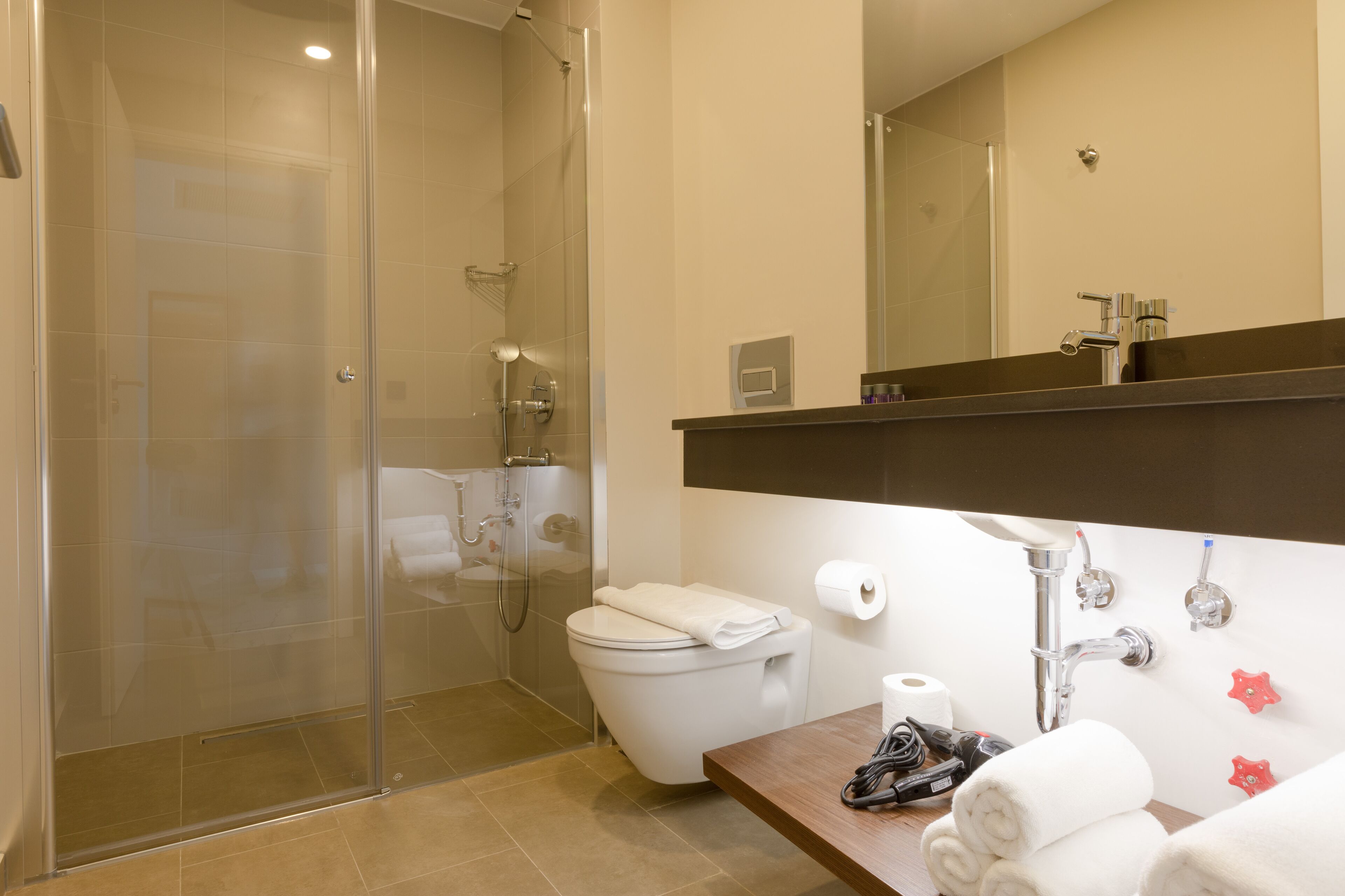 A modern bathroom with a glass-enclosed shower, a toilet, a sink with a mirror above, and a towel rack.