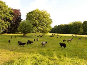 Botó d’imatge sense classificar, 3 de 22