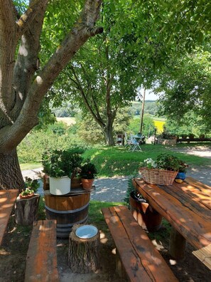 Restauration en plein air