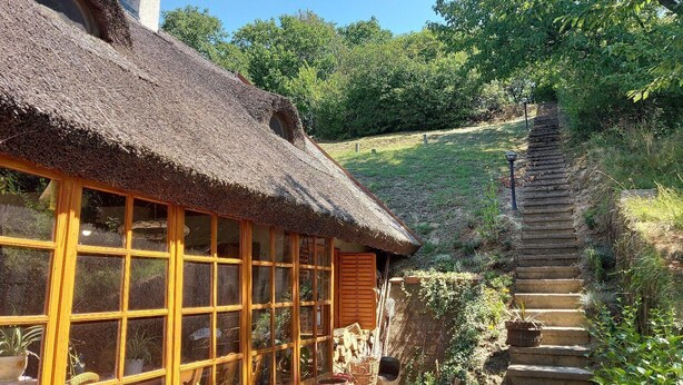 A rustic house with a thatched roof, large windows, and a stone staircase leading up to it.