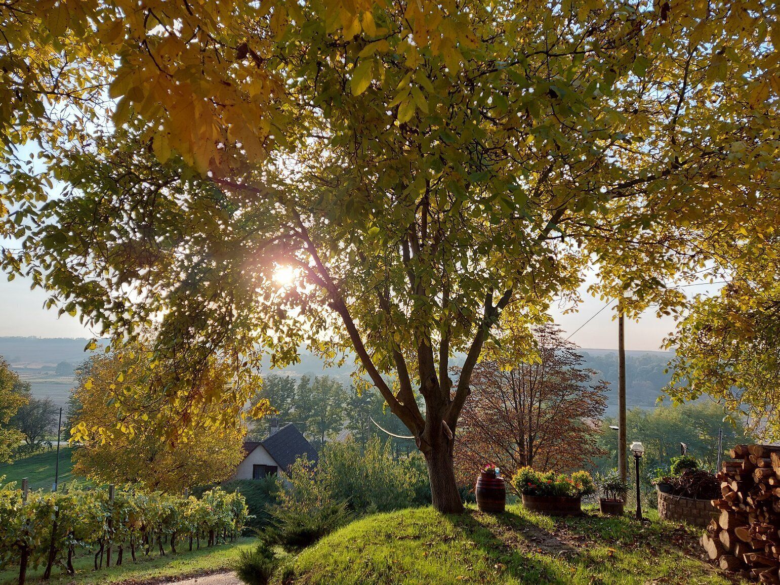 Terrein van de accommodatie