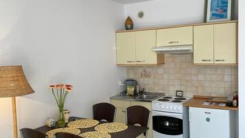 Fridge, oven, stovetop, electric kettle