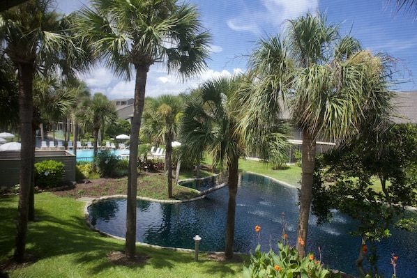 A swimming pool surrounded by palm trees and a grassy area.