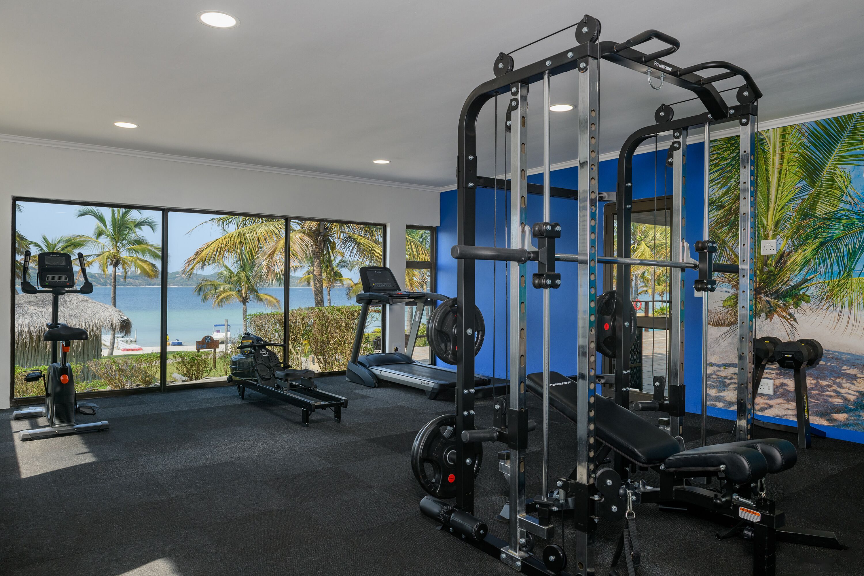 A gym with cardio machines, weightlifting equipment, and a large window with a view of palm trees and a beach.