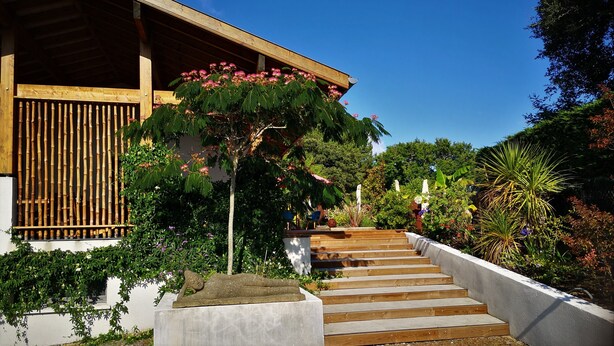 A wooden staircase leading up to a building with a bamboo fence and a variety of plants. - Chambre La Centrale : private terrace -Heated swimming pool, 5mn from the beach (Soorts-Hossegor)