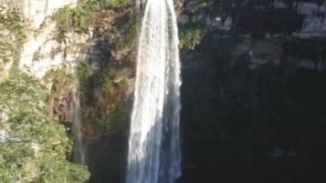 Une cascade se déversant le long d’une falaise, entourée d’une végétation luxuriante.
