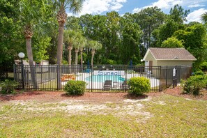 Relax by the pool surrounded by lush greenery and tall palm trees.